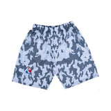 Custom Basketball Reversible Shorts – Style 6010