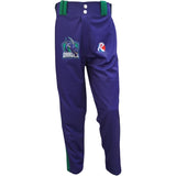 Custom Baseball Pants – Style 2456
