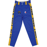 Custom Baseball Pants – Style 2458