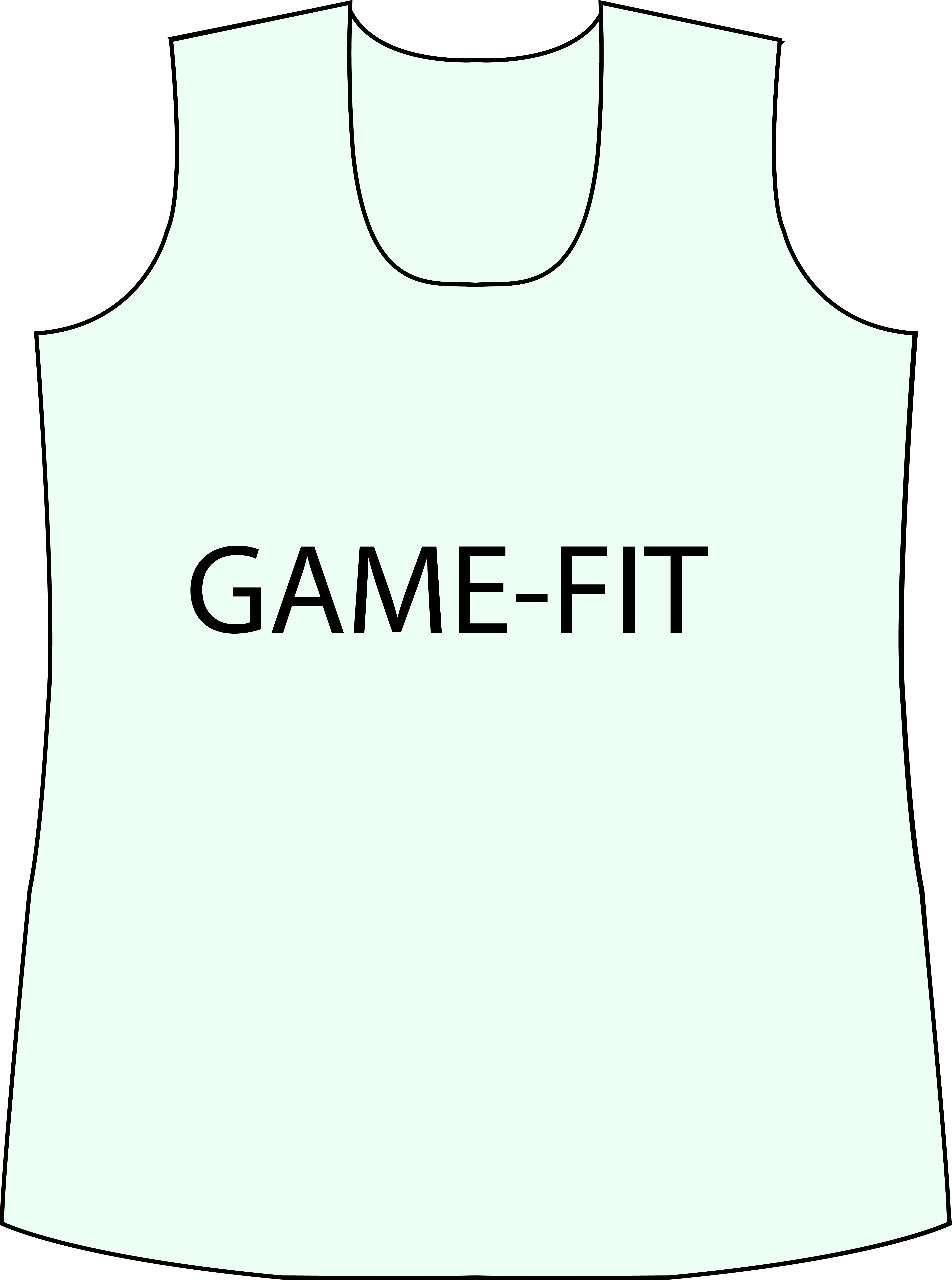 Game Fit